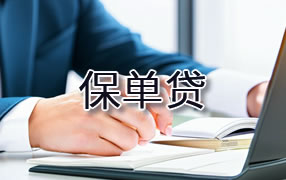 崇左保单贷