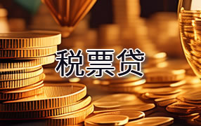 崇左税票贷